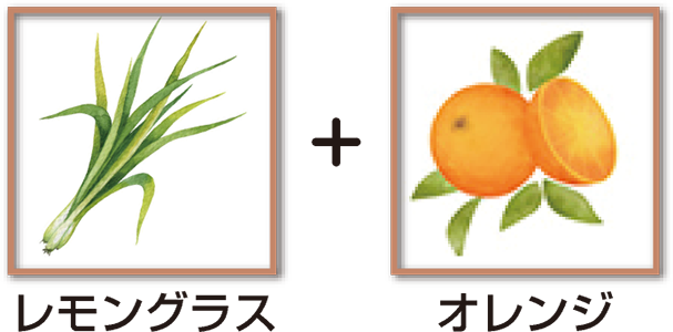 レモングラス+オレンジ